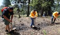 Voluntarios de Lapi Laboratorio Médico y la Brigada Forestal contribuyen en la jornada de reforestación en Huixquilucan.