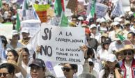 Estudiantes de escuelas públicas y privadas se manifestaron este domingo para rechazar la Reforma Judicial.