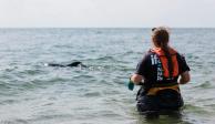 Esta profesión se encarga de estudiar los organismos que habitan en el mar.