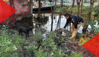 Los perritos y gatitos también se vieron afectados por las lluvias en Xochimilco.