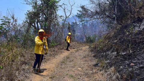 Continúan los incendios en el Parque Nacional El Veladero de Acapulco.