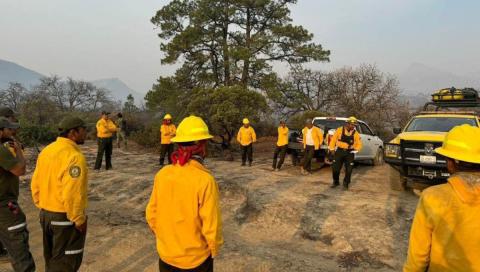 Intensifican labores para combatir incendio forestal en Santa María y Tierra Nueva, San Luís Potosí.