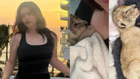 Hija del Canelo Álvarez recibe despiadadas críticas por tener un león como mascota