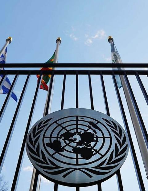 Ante la Organización de las Naciones Unidas (ONU)