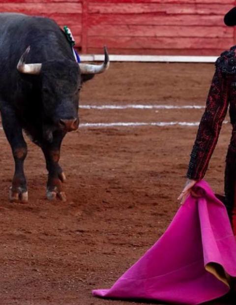 Suspenden por tercera vez las corridas de toros en CDMX.