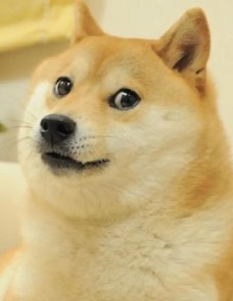 La perrita que inspiró el meme Doge falleció a los 17 años de edad.