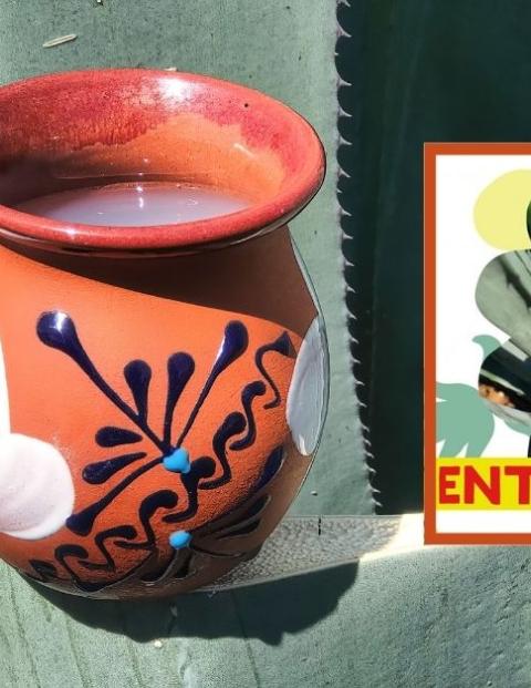 Así será la feria del pulque en Xochimilco en 2024.