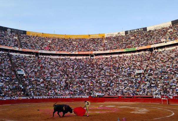 Activistas, por cancelar de manera definitiva corridas de toros en CDMX