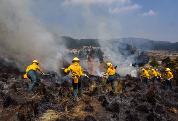 Incendios forestales activos han causado afectaciones en 8 mil 669 hectáreas.