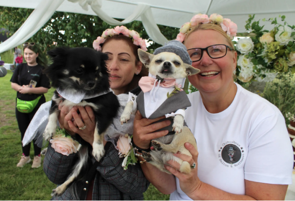 Las dueñas de los chihuahuas con sus perritos