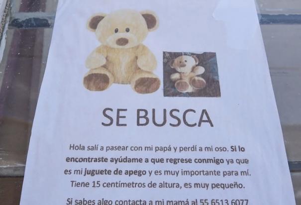 Niño de 2 años busca a “Sr. Osito”, su muñeco de peluche. Foto: Especial