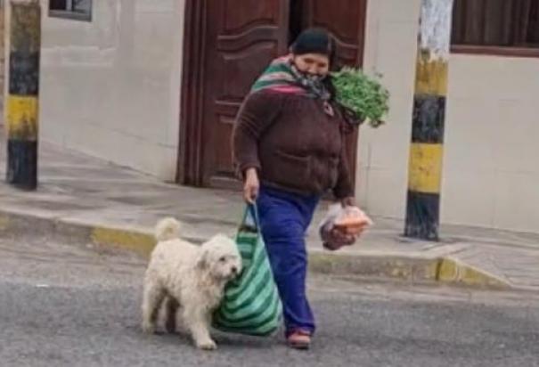 El perrito le ayuda con la bolsa de las compras a su dueña