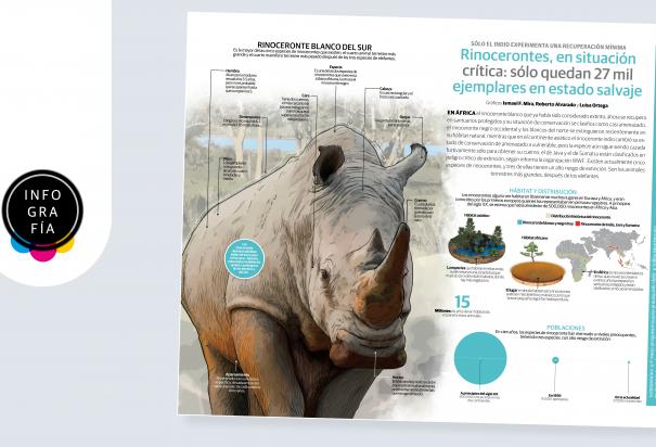 Rinocerontes, en situación crítica: sólo quedan 27 mil ejemplares en estado salvaje