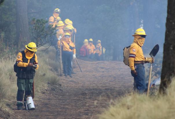 Personal de dependencias gubernamentales atienden los incendios forestales en México.