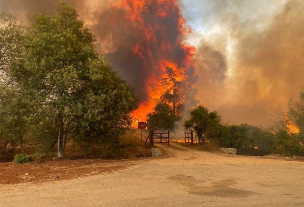 Columna de humo que asciende desde el lago Peñuelas, en Chile.