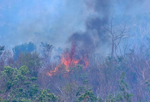 Incendios en el Parque Nacional El Veladero de Acapulco