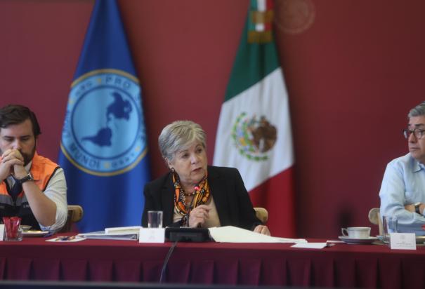 Alicia Bárcena, titular de la SRE, enfatizó en la necesidad de concretar el&nbsp;Plan de Autosuficiencia Sanitaria de América Latina.