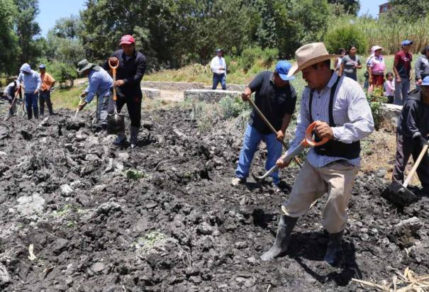 Acciones de desazolve y mantenimiento avanzan en el Lago de Pátzcuaro.