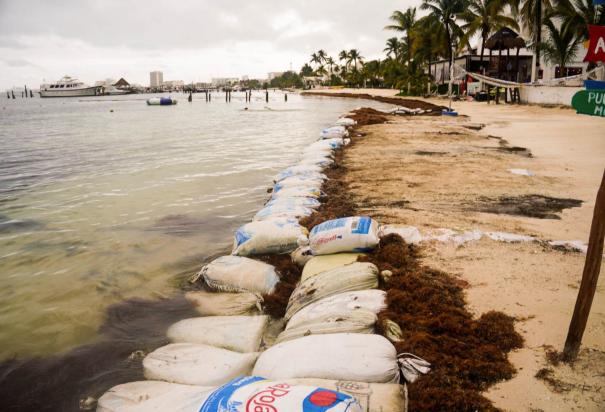 Quintana Roo activa Consejo Estatal de Protección Civil ante huracán Beryl; dan seguimiento y contemplan posibles afectaciones.