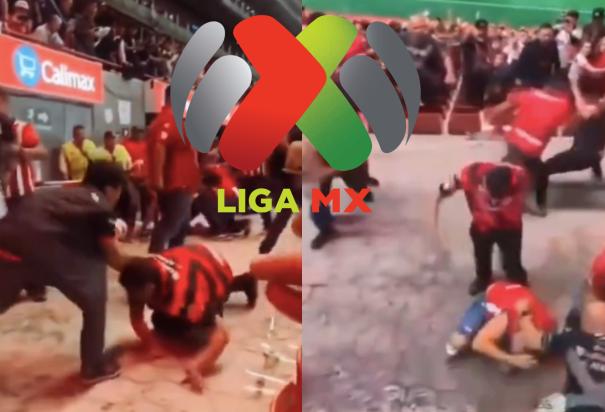 Liga MX se pronuncia tras los lamentables hechos violentos en el Xolos vs Chivas