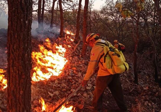 En Jalisco los incendios forestales también se han hecho presentes.