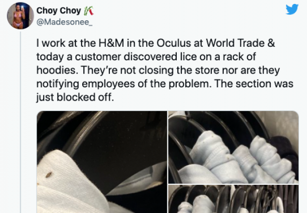 La empleada aseguró que los gerentes y ejecutivos de la tienda estaban al tanto de la plaga