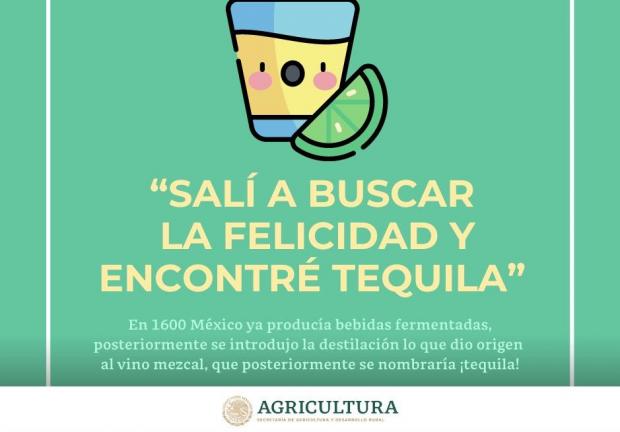 Aunque el tequila es originario de Jalisco, estados como Michoacán, Tamaulipas, Nayarit y Guanajuato también producen esta bebida