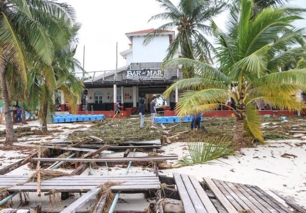 Palmeras caídas por el paso del huracán Delta en la zona hotelera de Cancún.