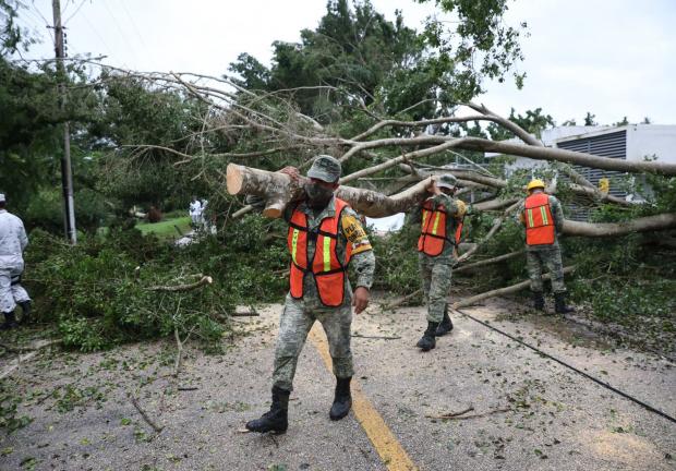 Árboles caídos y poste de luz fue el saldo en Tizimín, Yucatán por el paso del huracán Delta, el 7 de octubre de 2020.