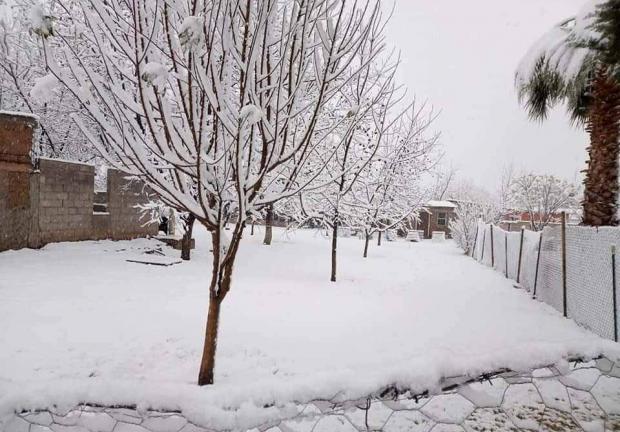 Pobladores comparten la vista desde sus casas por la caída de nieve en la región.