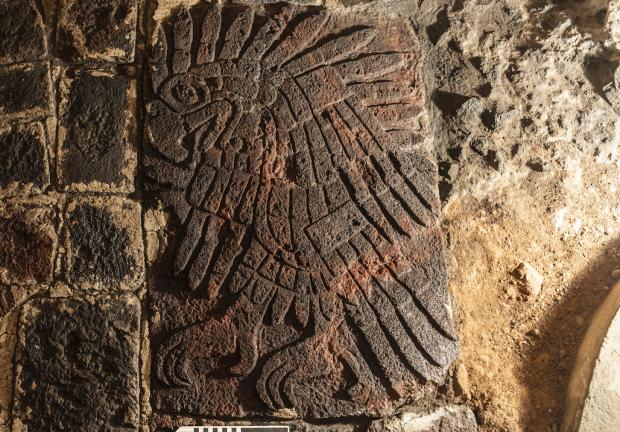 El bajorrelieve de águila real fue hallado cerca de la escultura monumental de la diosa Coyolxauhqui.