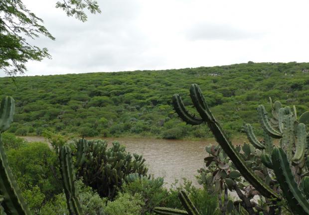 Querétaro cuenta con un total de 15 áreas naturales protegidas.
