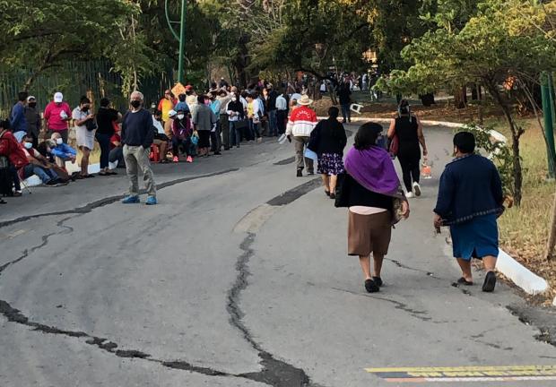 Chiapas. Al menos 10 personas de la tercera edad resultaron heridas tras ser atacadas por abejas en la fila.