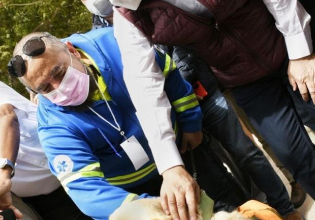 Veterinarias públicas para atender animales de la calle, propone Alfonso Durazo