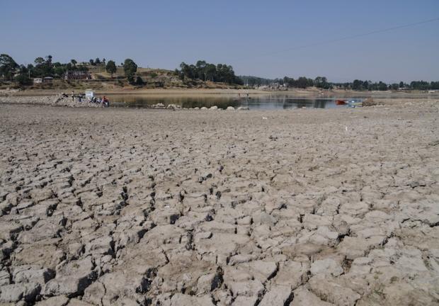 Los daños en la economía por la sequía del lago afectan a cerca de 4 mil familias, quienes apenas alcanzan a obtener ingresos por 2 mil pesos para sobrevivir.