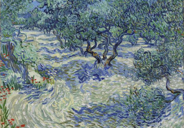 "Olive Trees", cuadro de Van Gogh que llegará al Museo de Arte de Dallas