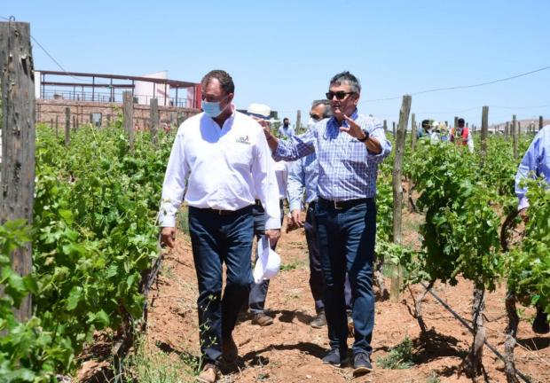 Según explicó el presidente del Consejo fundador del proyecto, el 70 por ciento del vino que se consume en México es importado.
