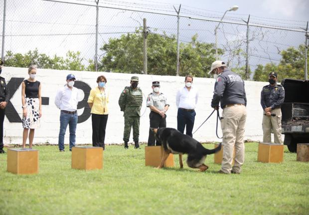 El gobernador de Yucatán, Mauricio Vila Dosal, presenció una demostración de los nuevos elementos de la unidad canina.