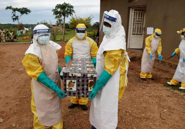 El virus de Marburgo es familiar del ébola y se transmitió de un murciélago a humano