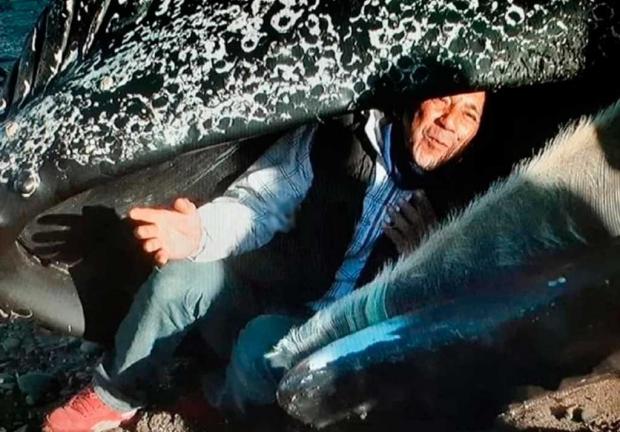 Niños, jóvenes y un señor de edad se acercaron a la ballena muerta y hubo quienes hasta se tomaron una selfie