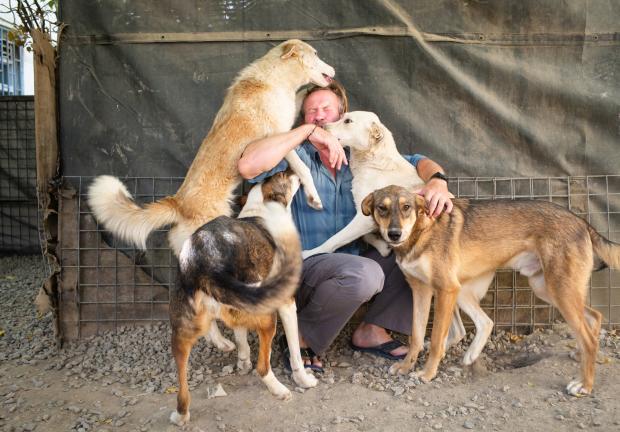 Paul Farthing pide lugar en un vuelo para sus 200 perros y gatos