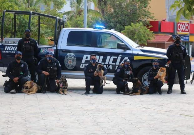 Los 16 binomios de la Unidad Canina de la Policía Quintana Roo han realizado 659 acciones exitosas en los últimos 18 meses.