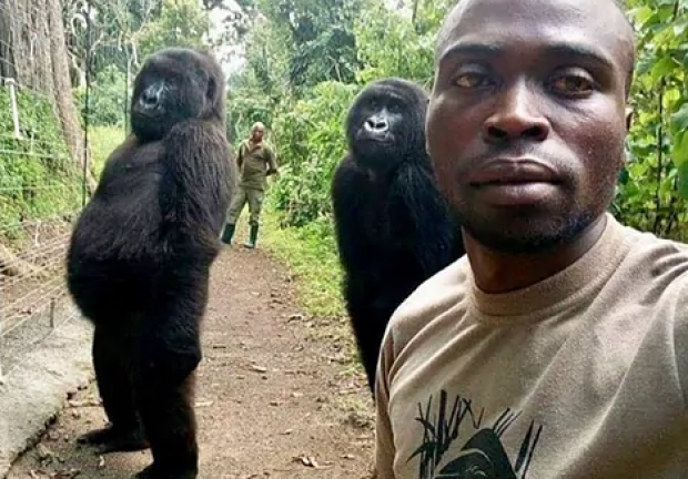 Selfie de Ndakasi y Ndeze con su cuidador