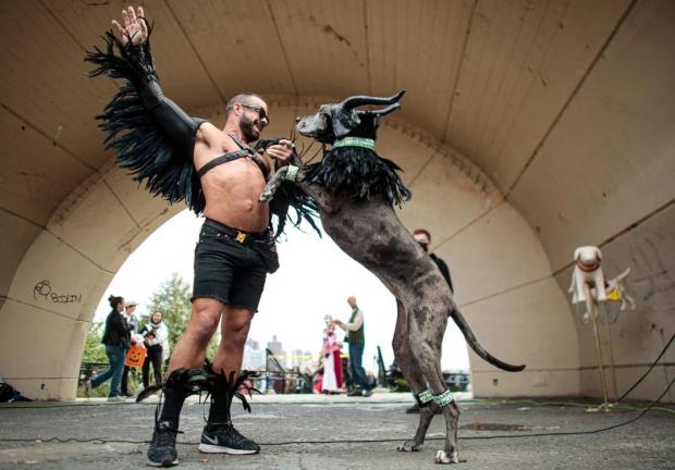 "Maléfica", en el concurso de disfraces de Halloween para perros