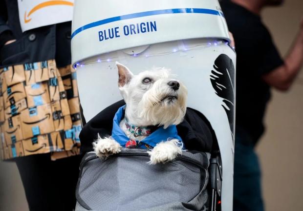 Perro disfrazado de "Jeff Bezos viajando al espacio"