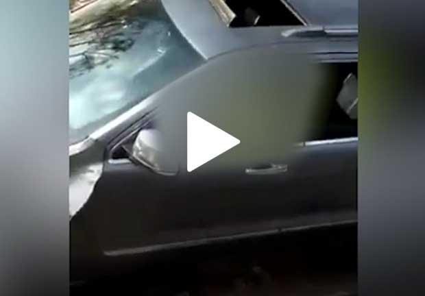 Video muestra al actor de Vecinos tras impacto en camioneta