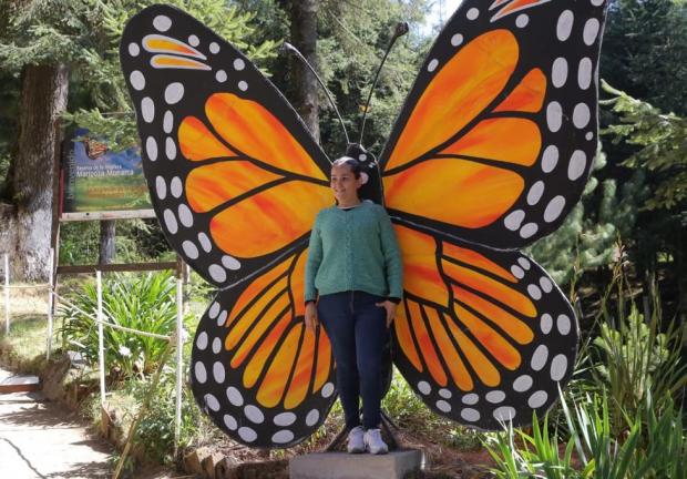 En esta temporada, los santuarios de la mariposa monarca reciben más de 200 mil turistas nacionales e internacionales