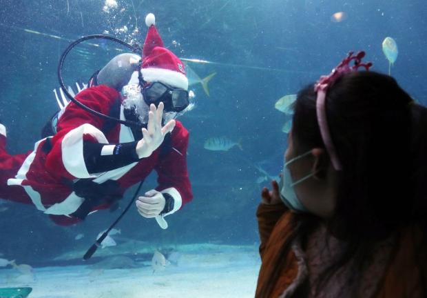 "Santa acuático" saluda a una niña en el zoológico de Guadalajara