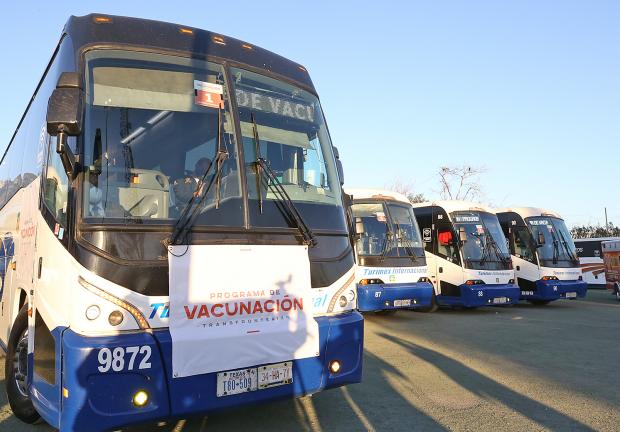 Autobuses del programa de vacunación transfronteriza. 