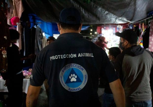 Protección Animal realiza recorridos en mercados de municipio de Querétaro.